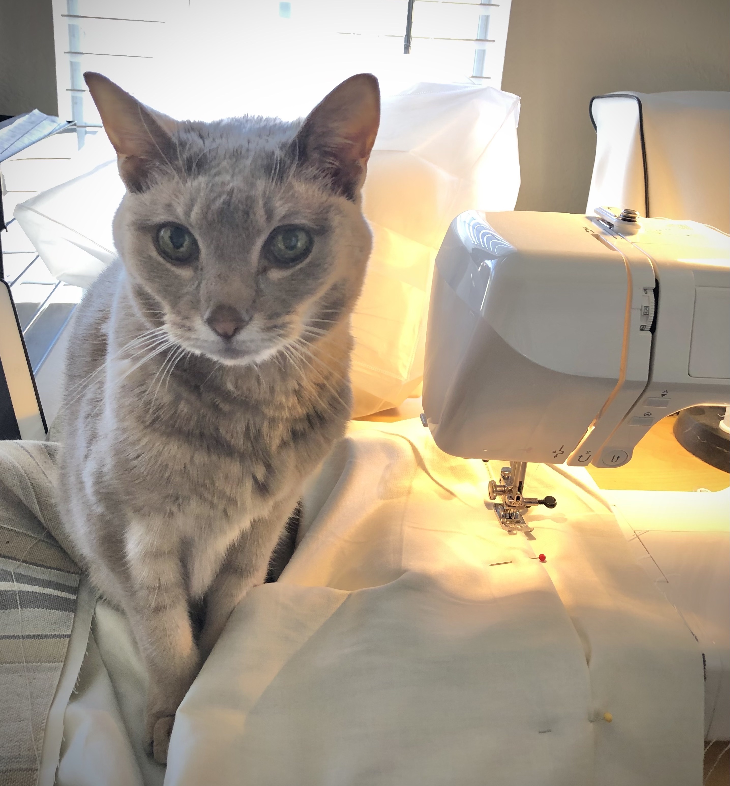 Sasha Sewing